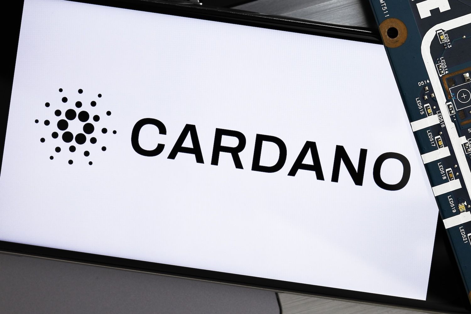Cardano或借纪律开发逆袭，霍斯金森指明未来路径