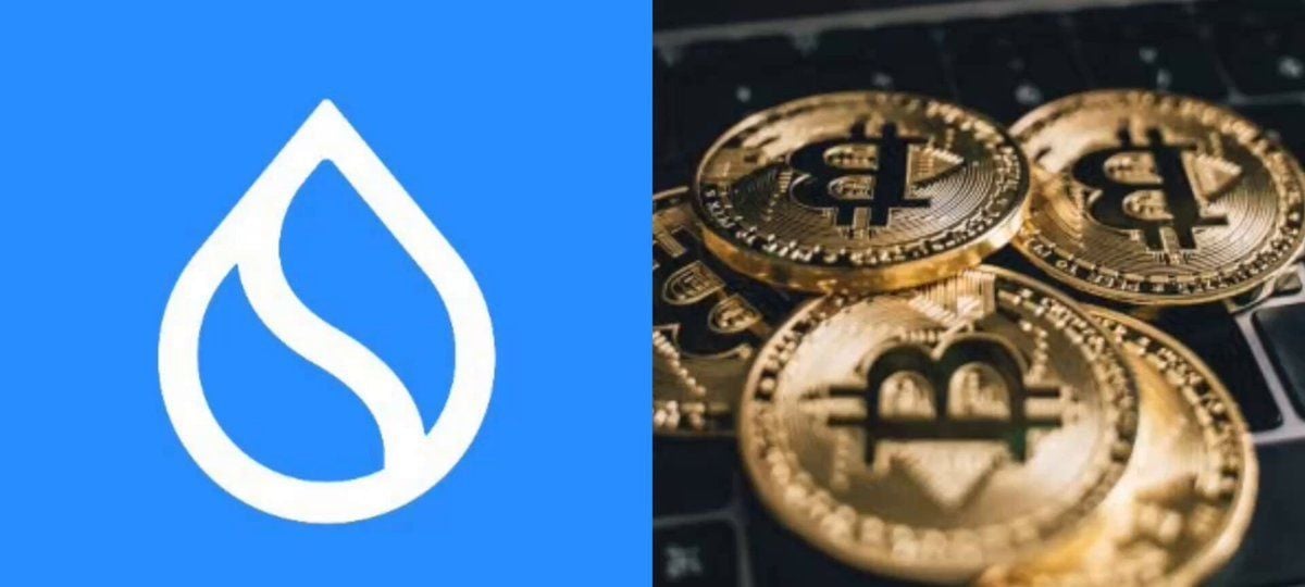 Sui Hashi测试网上线，比特币原生金融破局在即