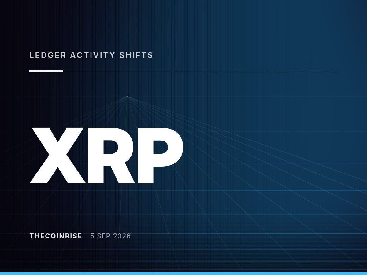 XRP链活跃度重构：机构主导交易规模激增