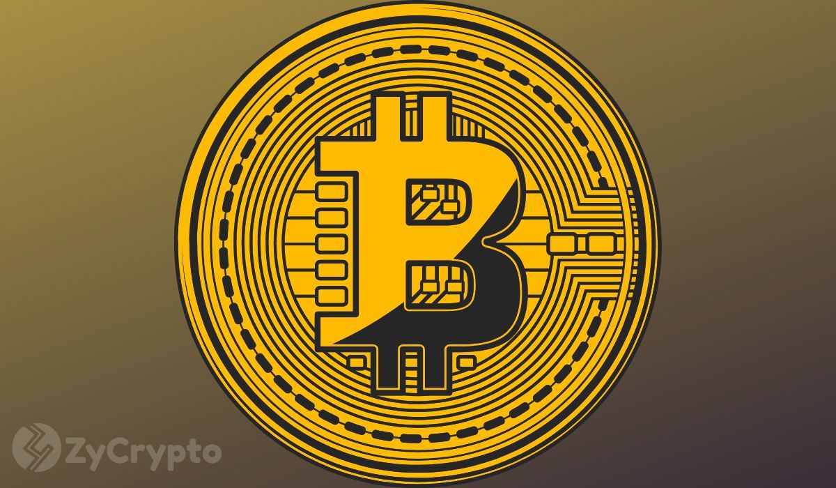 币安比特币持仓创新高，抛售风险引市场警惕