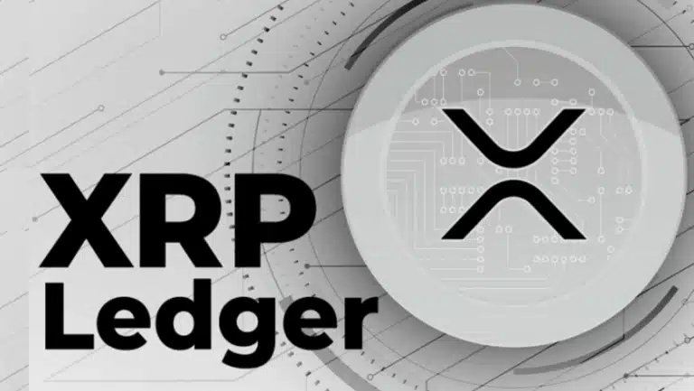 XRPL Memo扩容争议：汉密尔顿力挺专用存储