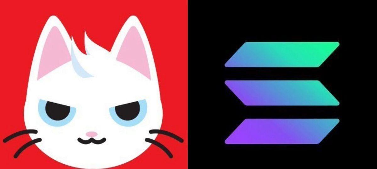 $MEW单日飙涨20%！索拉纳meme币板块回暖信号显现