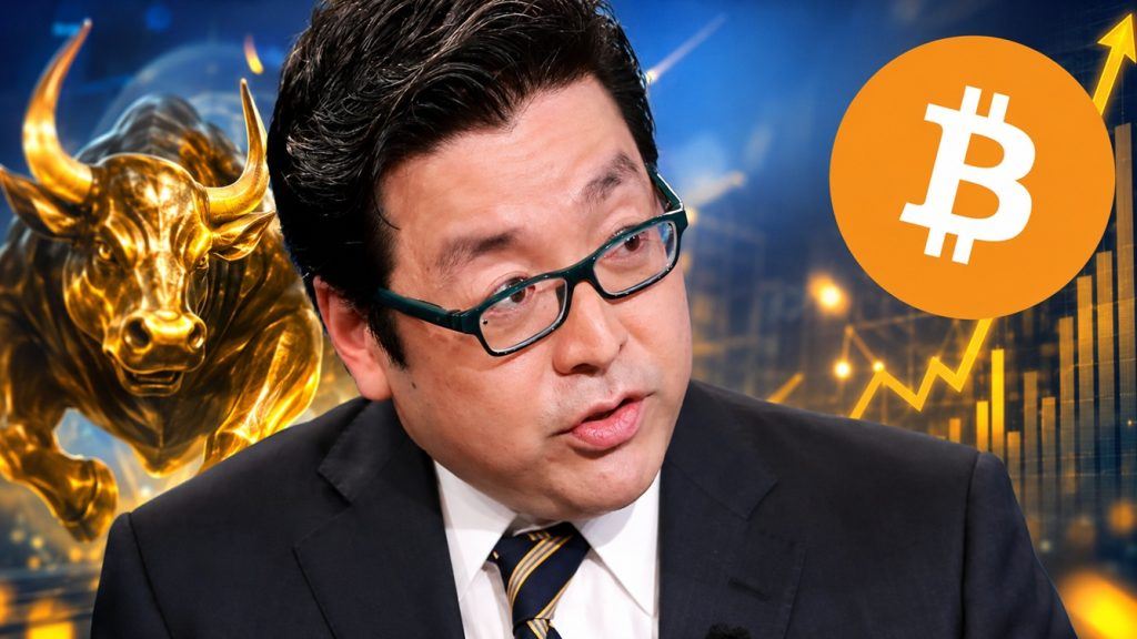 Tom Lee：新牛市已启，规模或破历史纪录